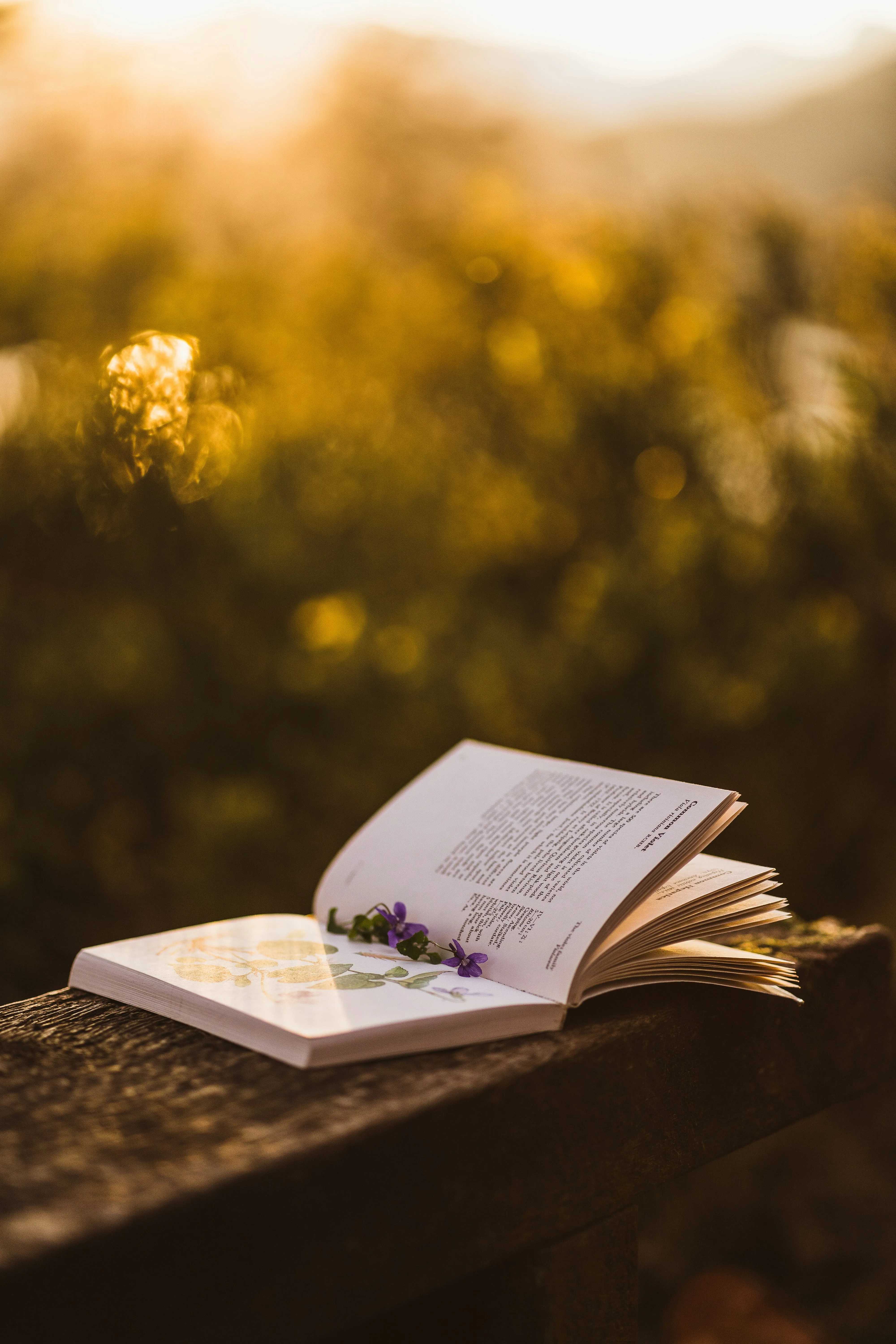 Séance de coaching et guidance de vie – La Maison Sattvaïa