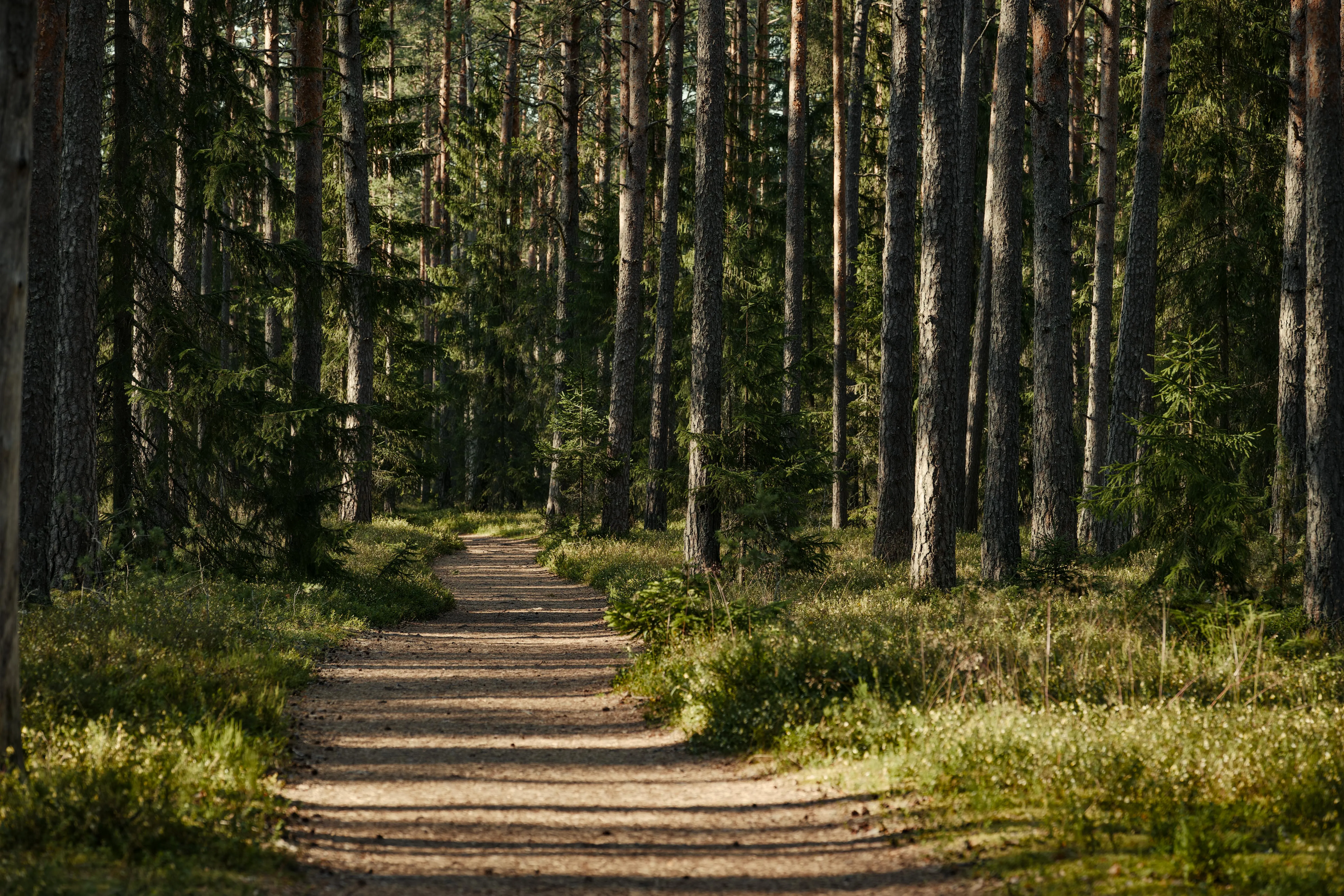 Chemin spirituel et découverte